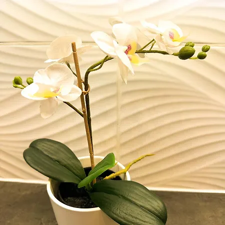 Palace Apartman,t8, Ac, Klima