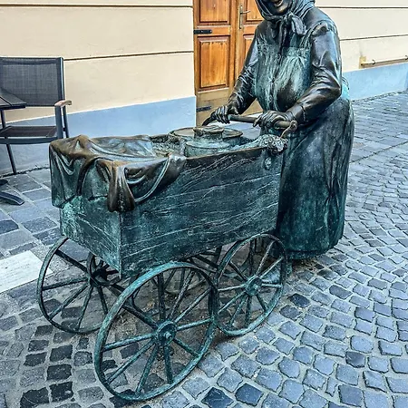 Palace Apartman,t8, Ac, Klima Διαμέρισμα Székesfehérvár