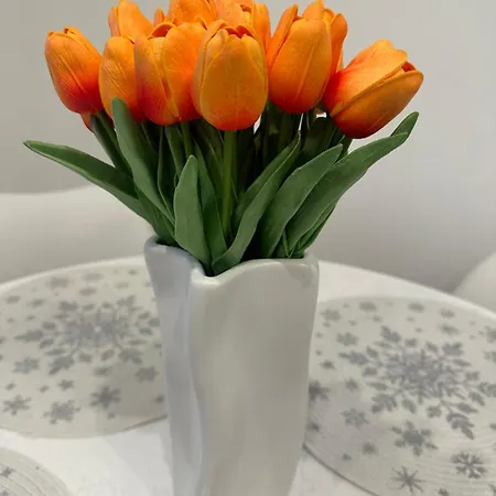 Palace Apartman,t8, Ac, Klima Διαμέρισμα Székesfehérvár