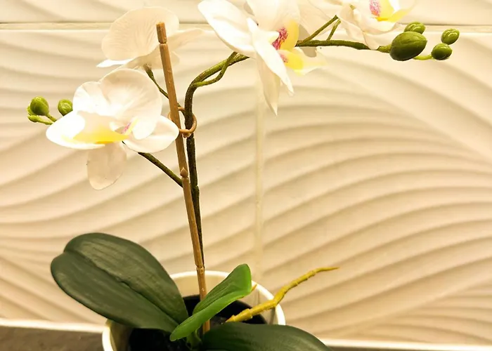 Palace Apartman,t8, Ac, Klima