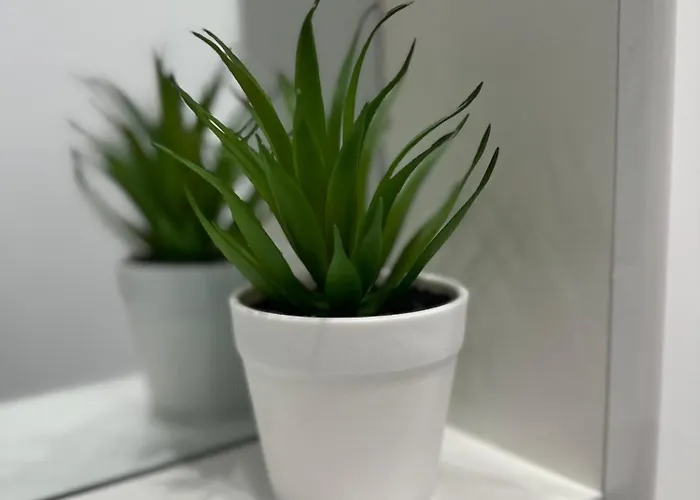 Palace Apartman,t8, Ac, Klima